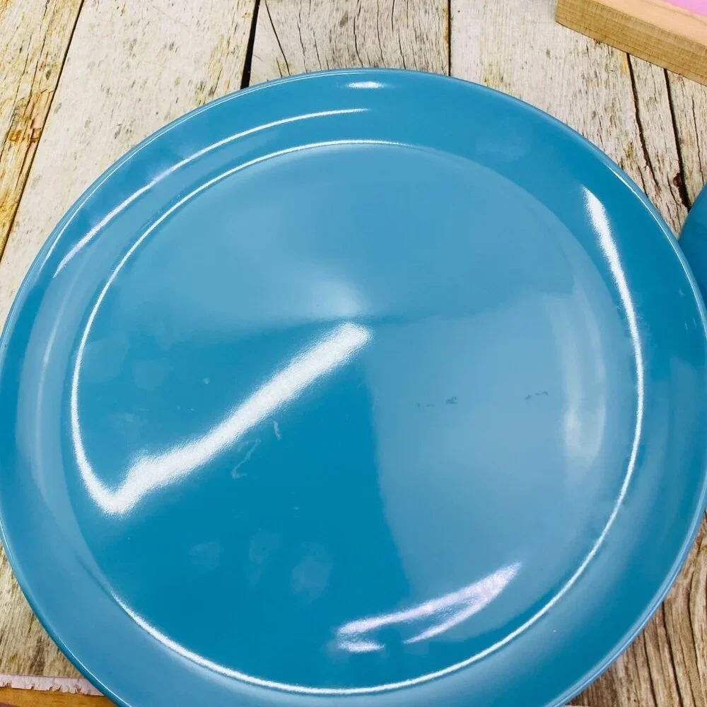 Ikea of Sweden 12011 FARGRIK TURQUOISE Solid Round Stoneware Dinner Plates Set 2